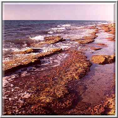 Beaches south from Ashkelon, near a power plant. The Middle East, September 19, 2001