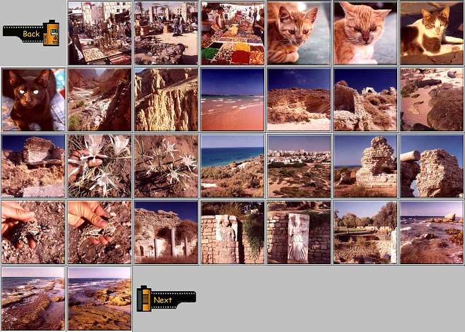 Photomontage of 29 square thumbnails