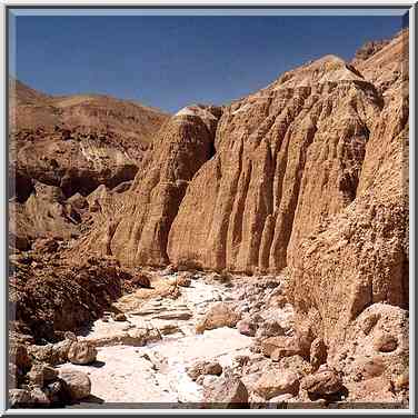 Lower Tseelim Canyon, 3 miles north from Masada, ...[3 words]... The Middle East, September 29, 2001