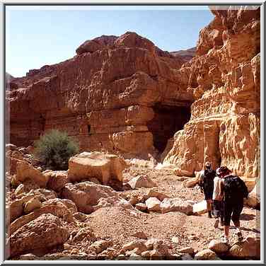 A wadi in Tseelim Canyon, 3.5 miles north-west ...[2 words]... The Middle East, September 29, 2001