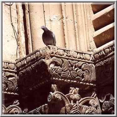 A dove gazing from a capitel of Church of Holy ...[5 words]... the Middle East, October 7, 2001