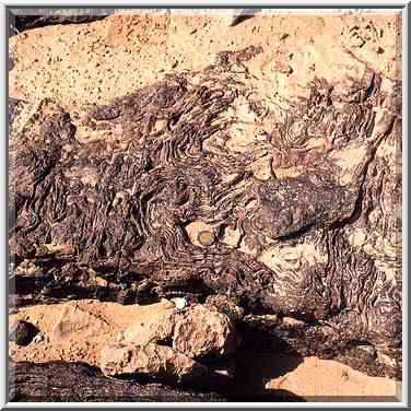 Erosion of rocks in Makhtesh Ramon (crater). The Middle East, October 18, 2001